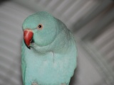 pictures2